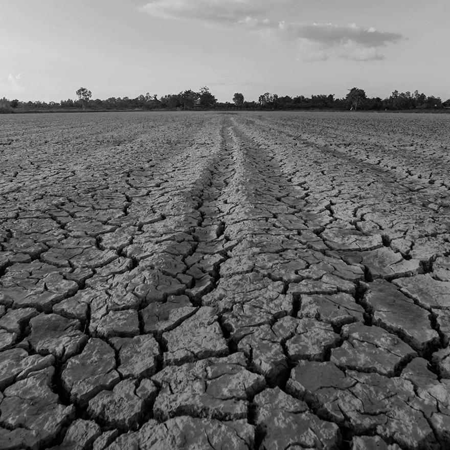 <a style="font-family: Bookish; font-style: normal">Depletion of natural resources</a>